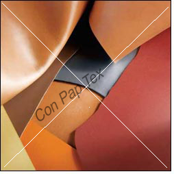 Leather Industry